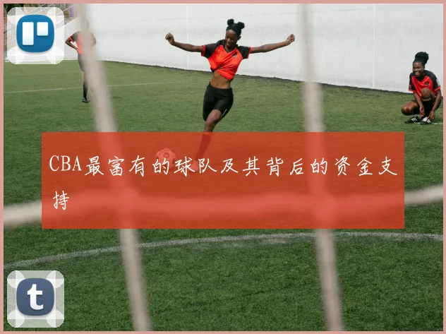 CBA最富有的球队及其背后的资金支持