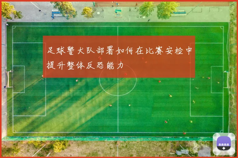 足球警犬队部署如何在比赛安检中提升整体反恐能力