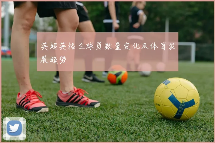 英超英格兰球员数量变化及体育发展趋势