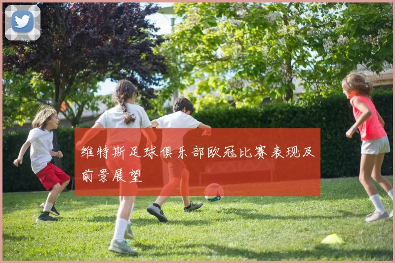 维特斯足球俱乐部欧冠比赛表现及前景展望