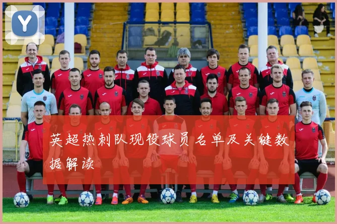 英超热刺队现役球员名单及关键数据解读