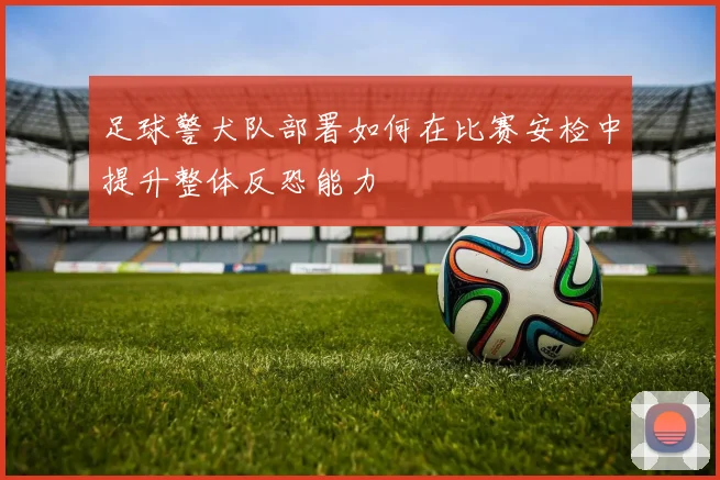 足球警犬队部署如何在比赛安检中提升整体反恐能力