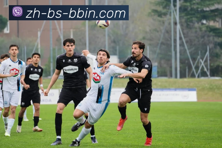 bbin宝盈发展历程